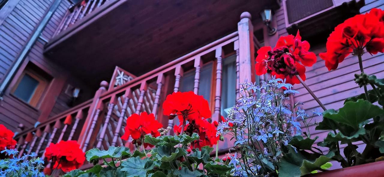 Hotel Albatros Old Town Sozopol Exterior foto